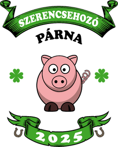 Szerencsehozó párna 2025